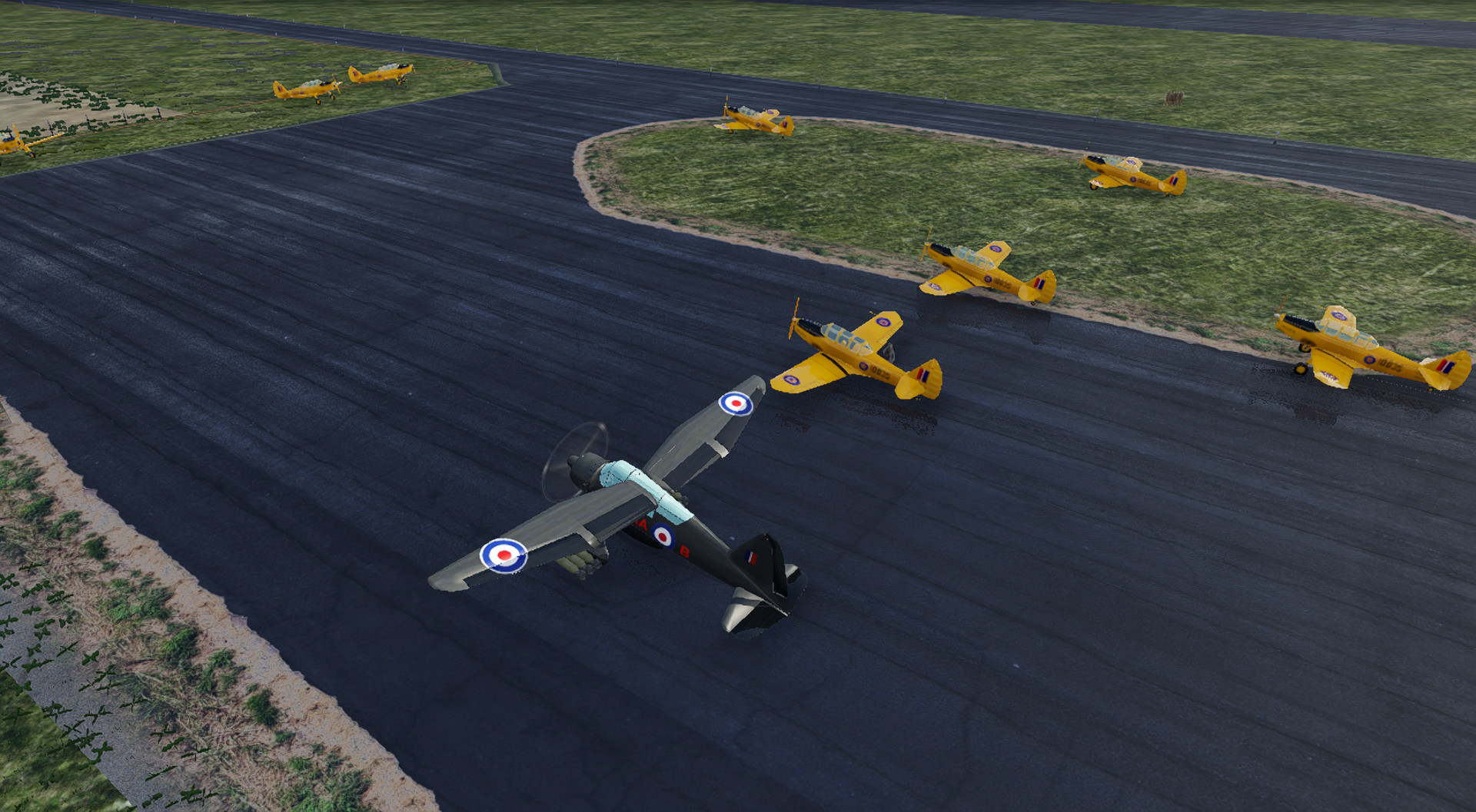 Lysander 3